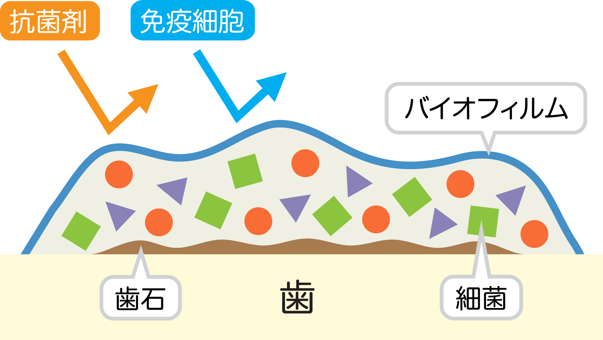 初台の歯医者-ハニー歯科は駅徒歩5分の歯科