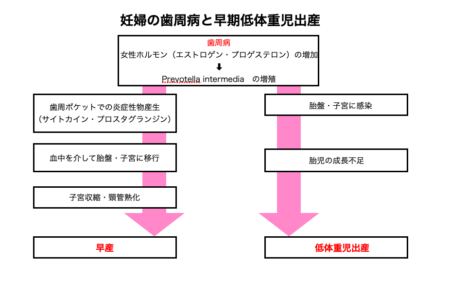 初台の歯医者-ハニー歯科は駅徒歩5分の歯科